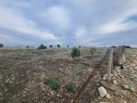 Land For Sale At Bafa Lake In Altınkum Didim