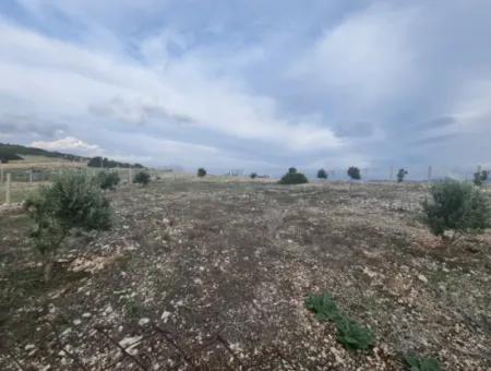 Land For Sale At Bafa Lake In Altınkum Didim