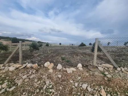 Land For Sale At Bafa Lake In Altınkum Didim