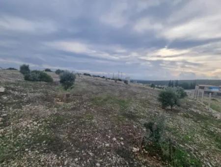 Land For Sale At Bafa Lake In Altınkum Didim