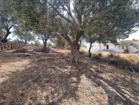 467 Sqm Land For Sale In Hisar District In Didim