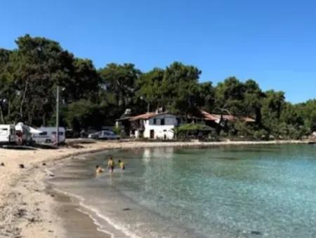 Olive Grove For Sale In Muğla Milas Bozbük