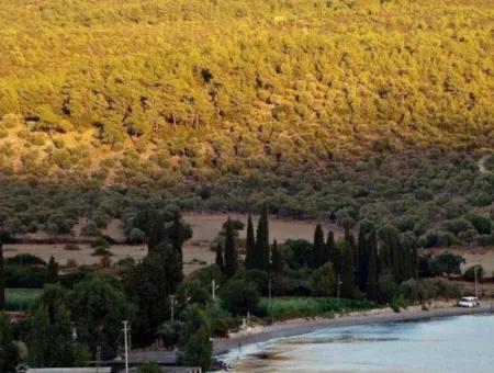 For Sale Land In Muğla Milas