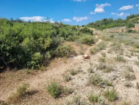600 M2 Zoned Kelepir Villa Land For Sale In Didim Seyrantepe Area At An Affordable Price