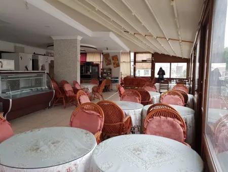 Bar, Restaurant Business For Sale In Altınkum Didim