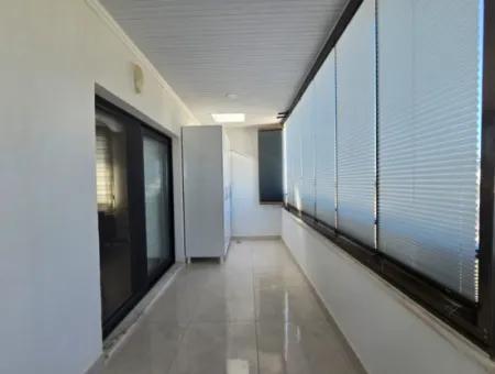 There Are No Such Duplexes In Hisar!  3 1 Separate Kitchen Duplex Apartment