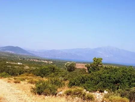 Land For Sale In Bafa Lake Area Didim