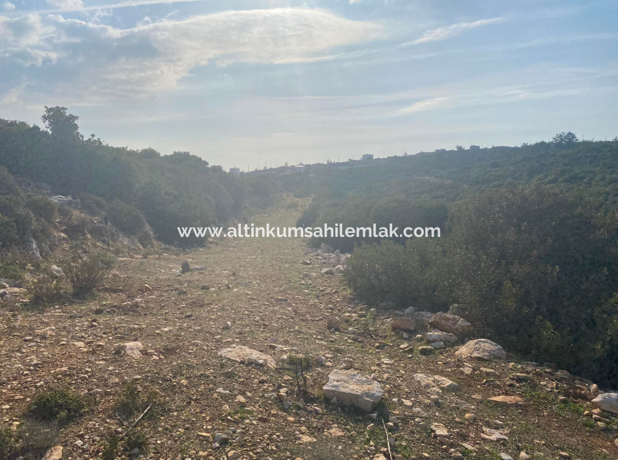 Didim Akyeniköy Bozsekide Satılık Yatırımlık Arsa