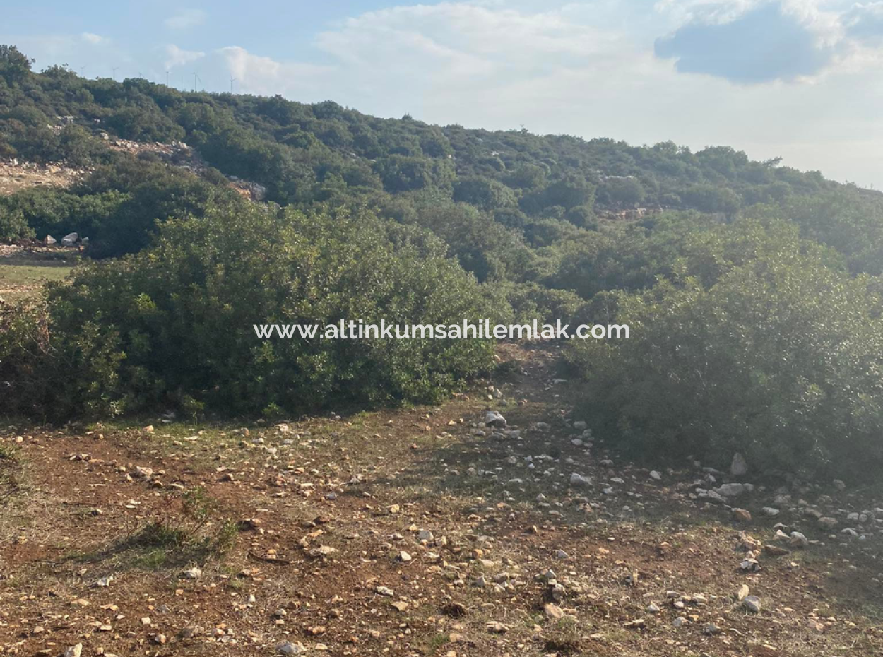 Didim Akyeniköy Bozsekide Satılık Yatırımlık Arsa
