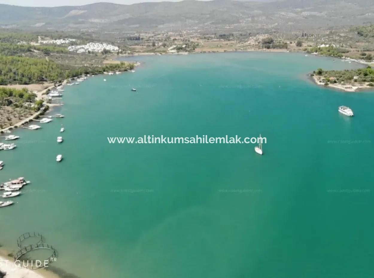 Muğla Milas Kazıklıda Satılık Deniz Manzaralı 3.5 Dönüm Zeytinlik