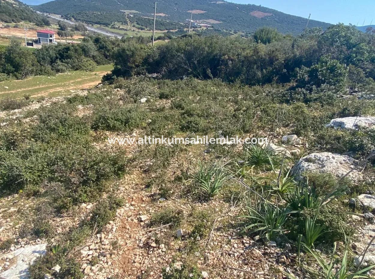 Didim Akyeniköy Seyrantepede Satılık 600 M2 Arsa