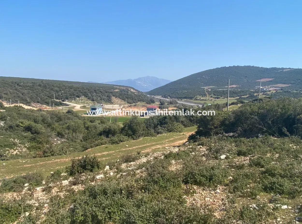 Didim Akyeniköy Seyrantepede Satılık 600 M2 Arsa