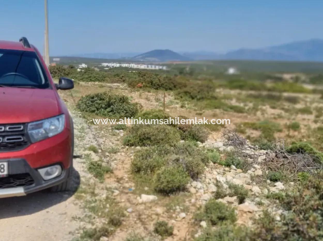 Didim Bozseki Mevkisi Satılık 300 M2 Arsa