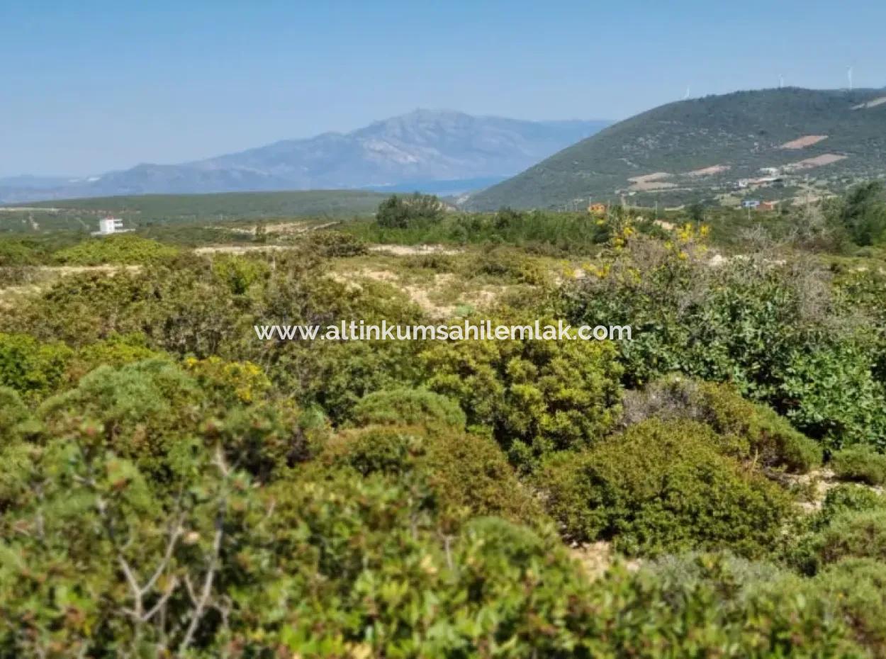 Didim Bozseki Mevkisi Satılık 300 M2 Arsa