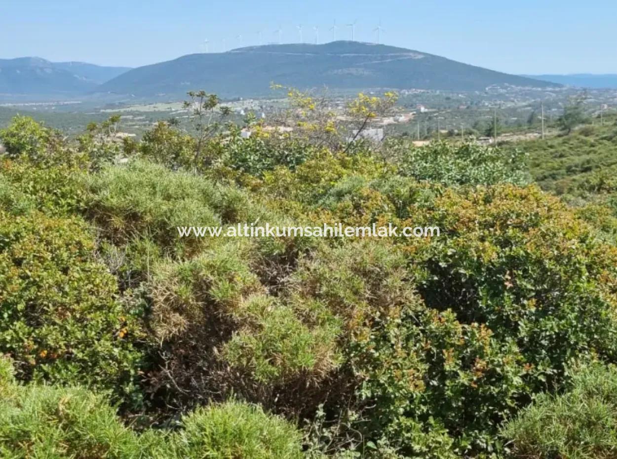 Didim Bozseki Mevkisi Satılık 300 M2 Arsa