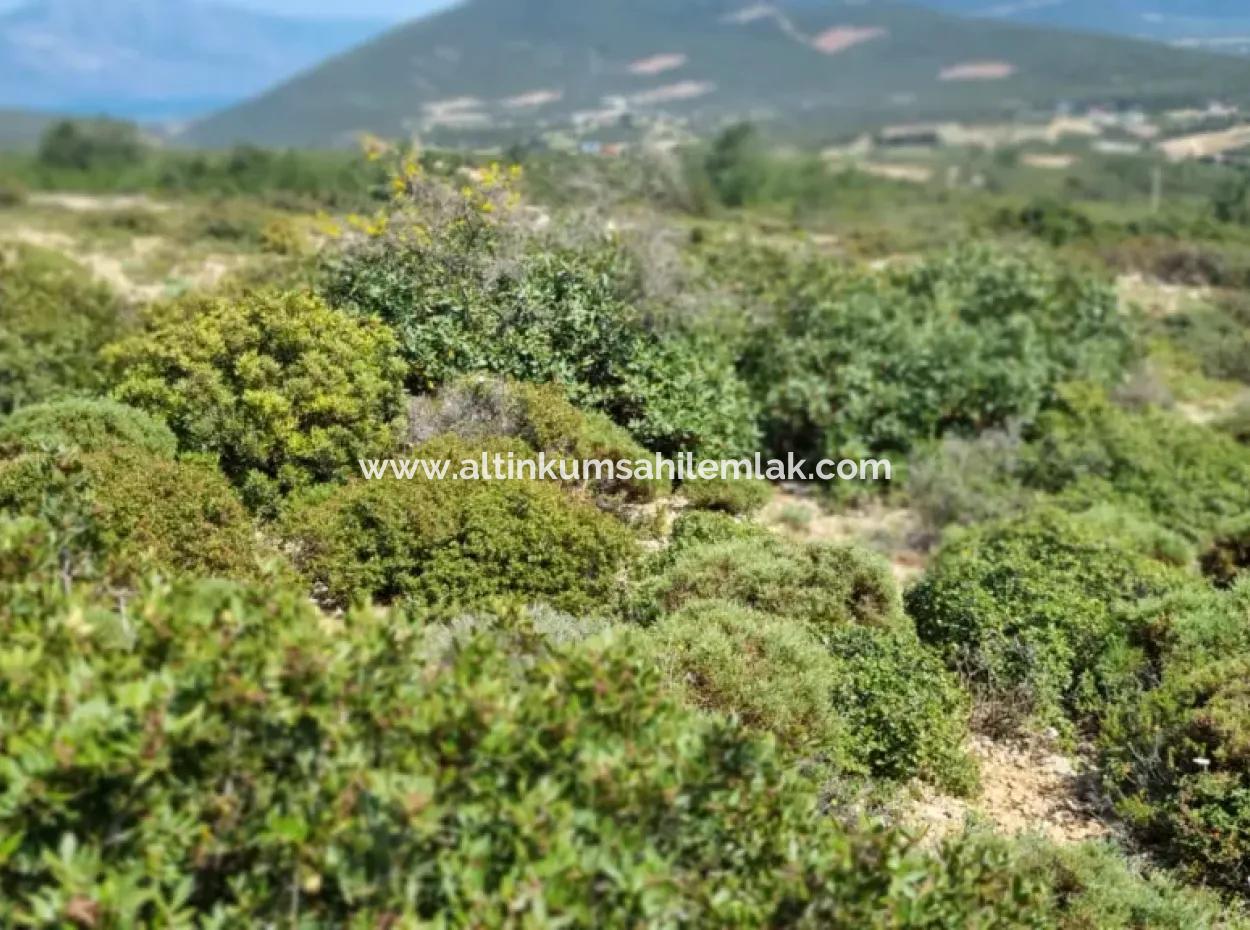Didim Bozseki Mevkisi Satılık 300 M2 Arsa