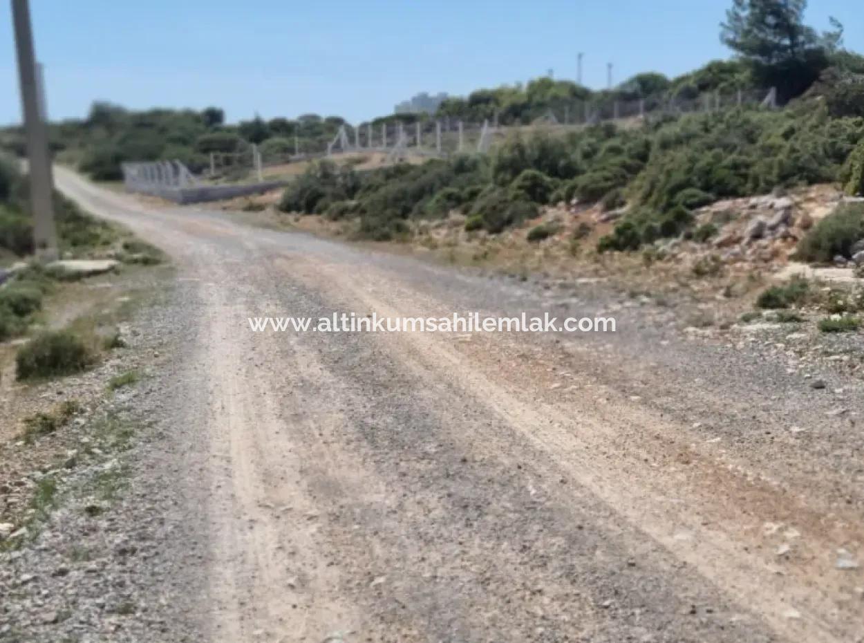 Didim Bozseki Mevkisi Satılık 300 M2 Arsa