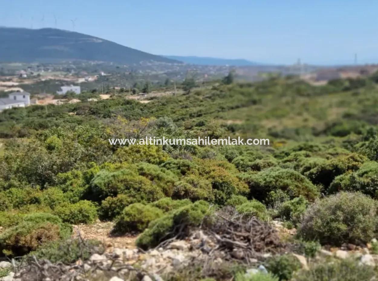 Didim Bozseki Mevkisi Satılık 300 M2 Arsa