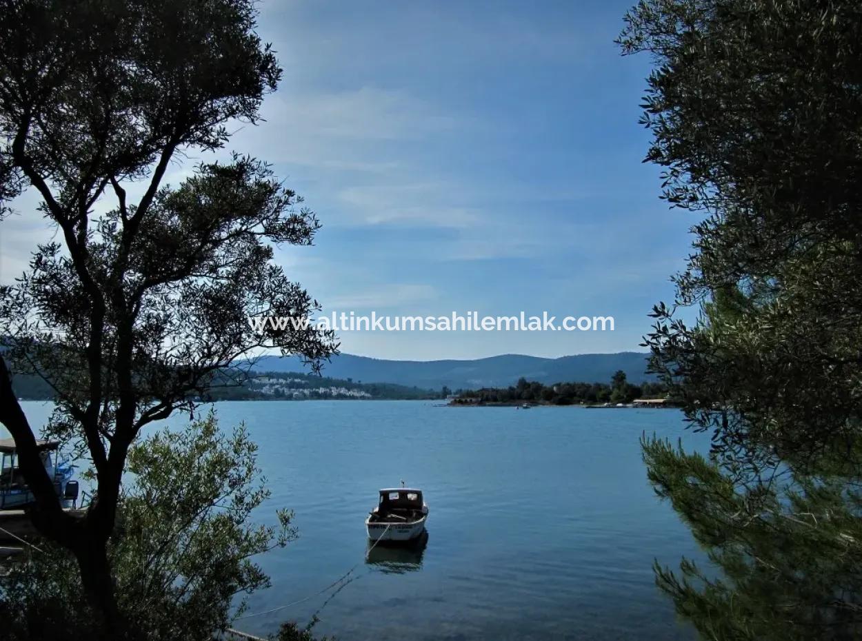 Muğla Milas Kazıklıda Acil Satılık 6 Dönüm Tarla