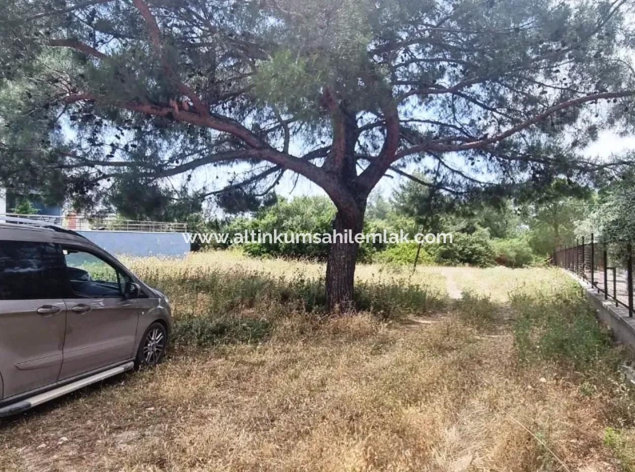 Didim Fevzipaşa Mahallesinde Acil Satılık Kupon Arsa