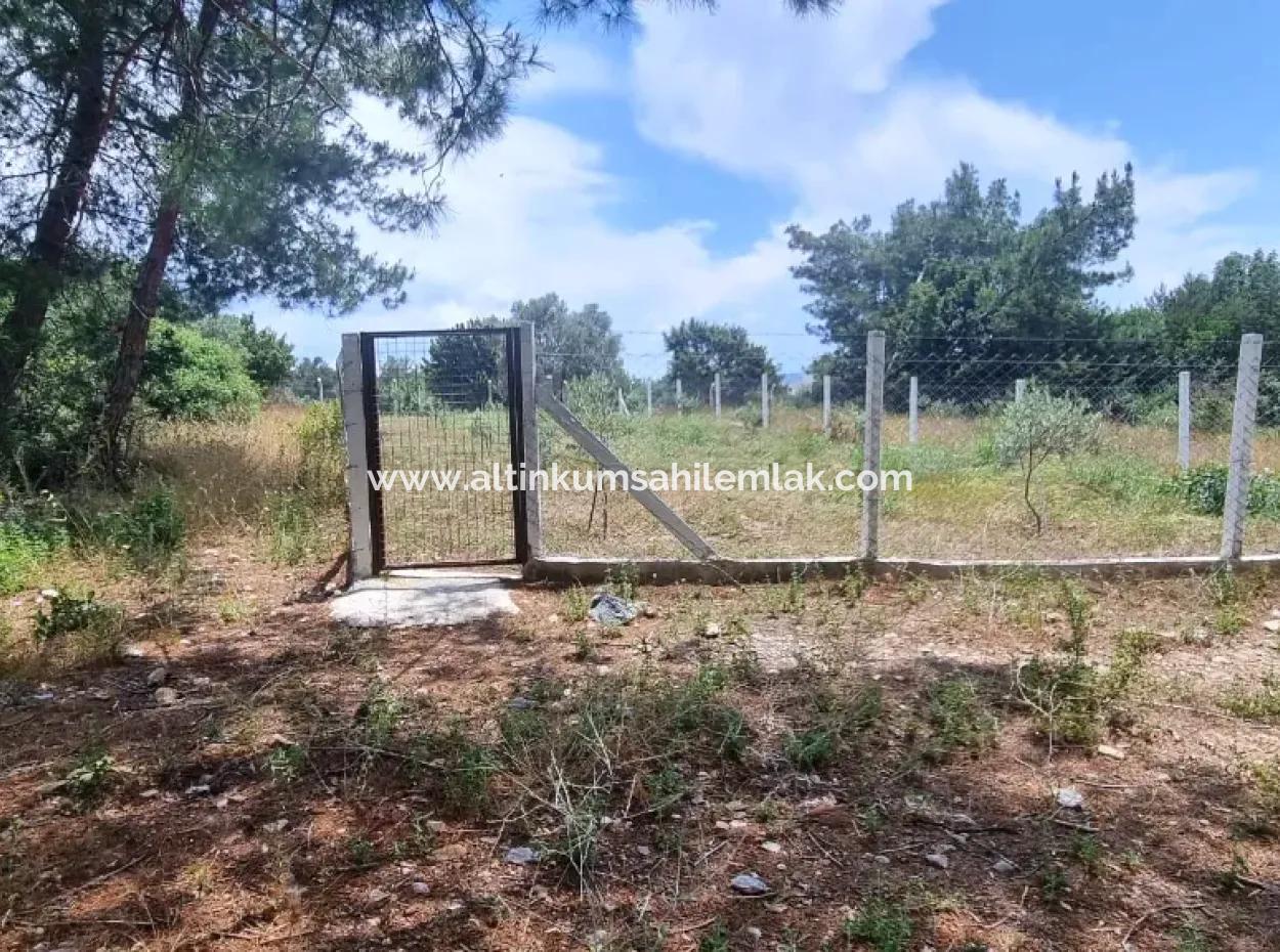 Didim Fevzipaşa Mahallesinde Satılık 291 M2 Villa İmarlı Arsa