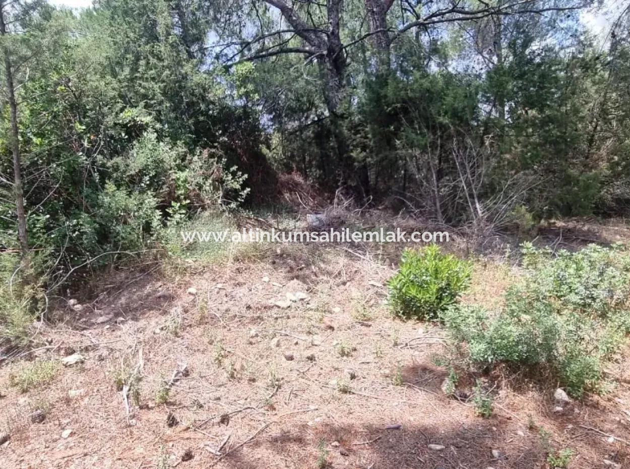 Didim Fevzipaşa Mahallesinde Satılık 291 M2 Villa İmarlı Arsa