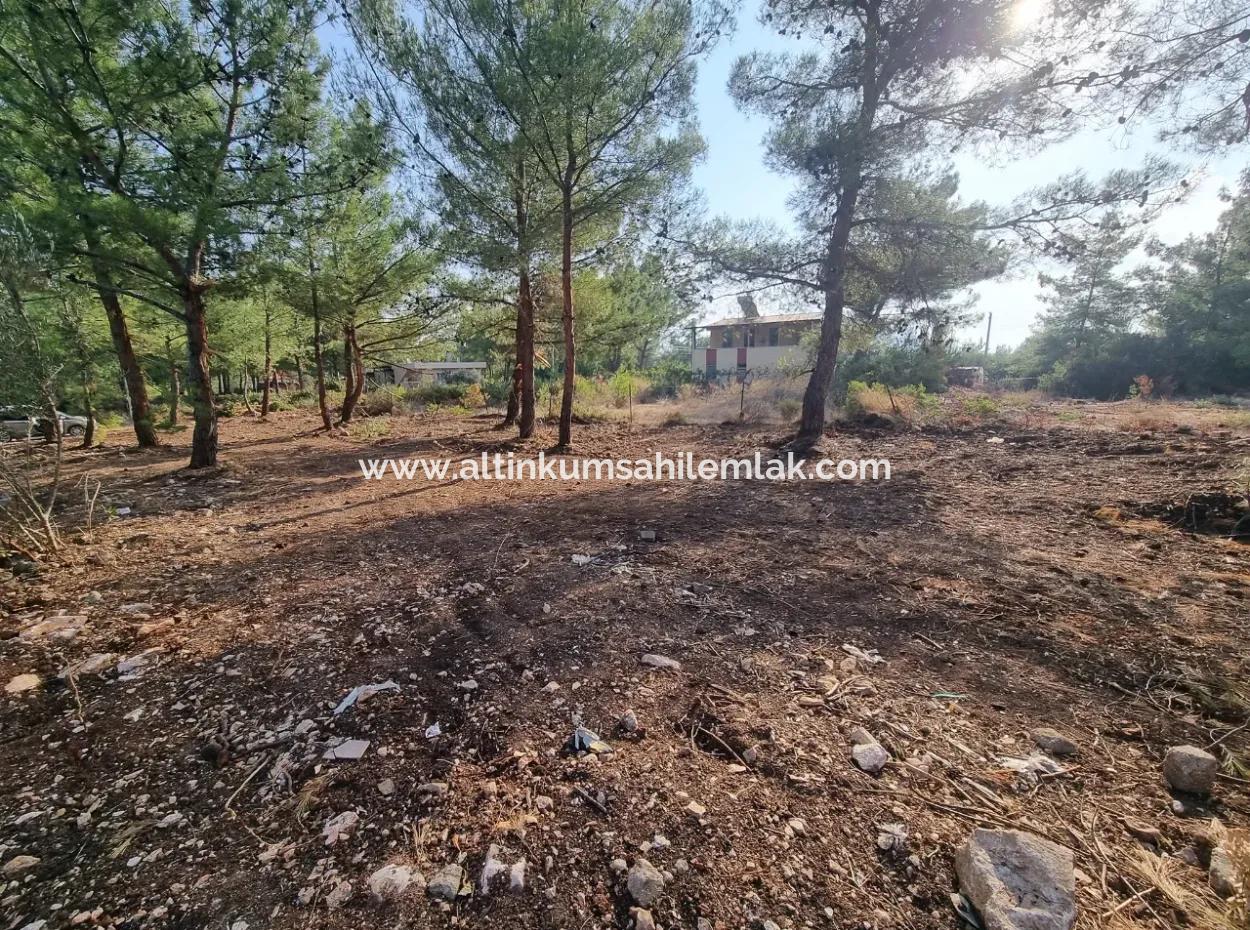 Didim Akyeniköy Seyrantepede Satılık 630 M2 Arsalar