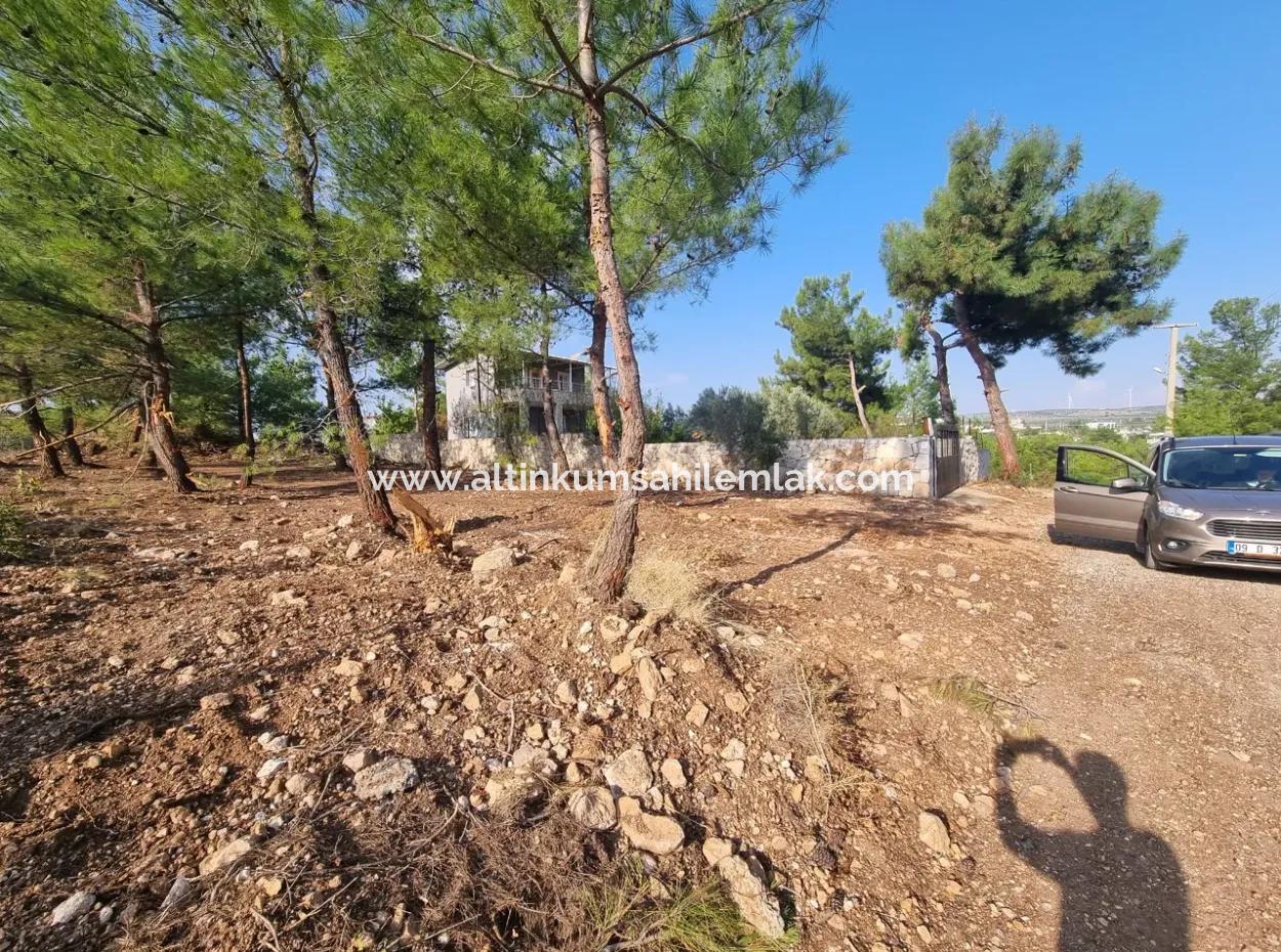 Didim Akyeniköy Seyrantepede Satılık 630 M2 Arsalar