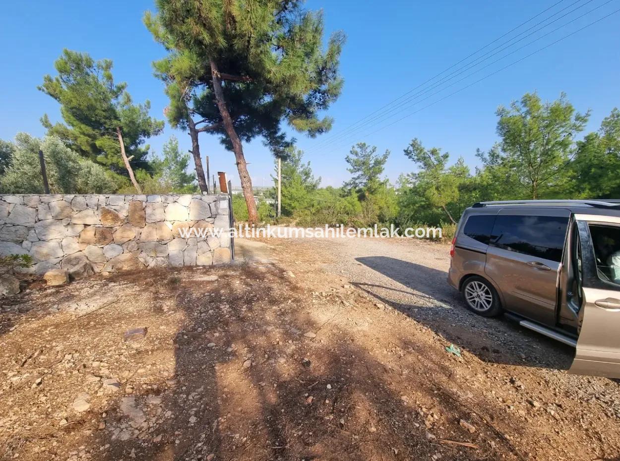 Didim Akyeniköy Seyrantepede Satılık 630 M2 Arsalar