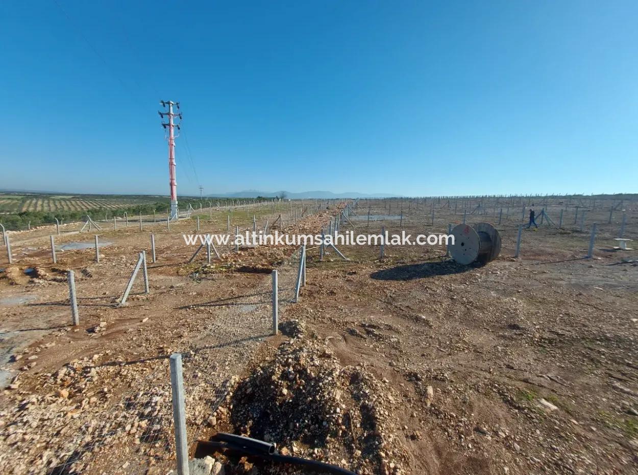 Altınkum Sahil Emlaktan Satılık Hobi Bahçeleri