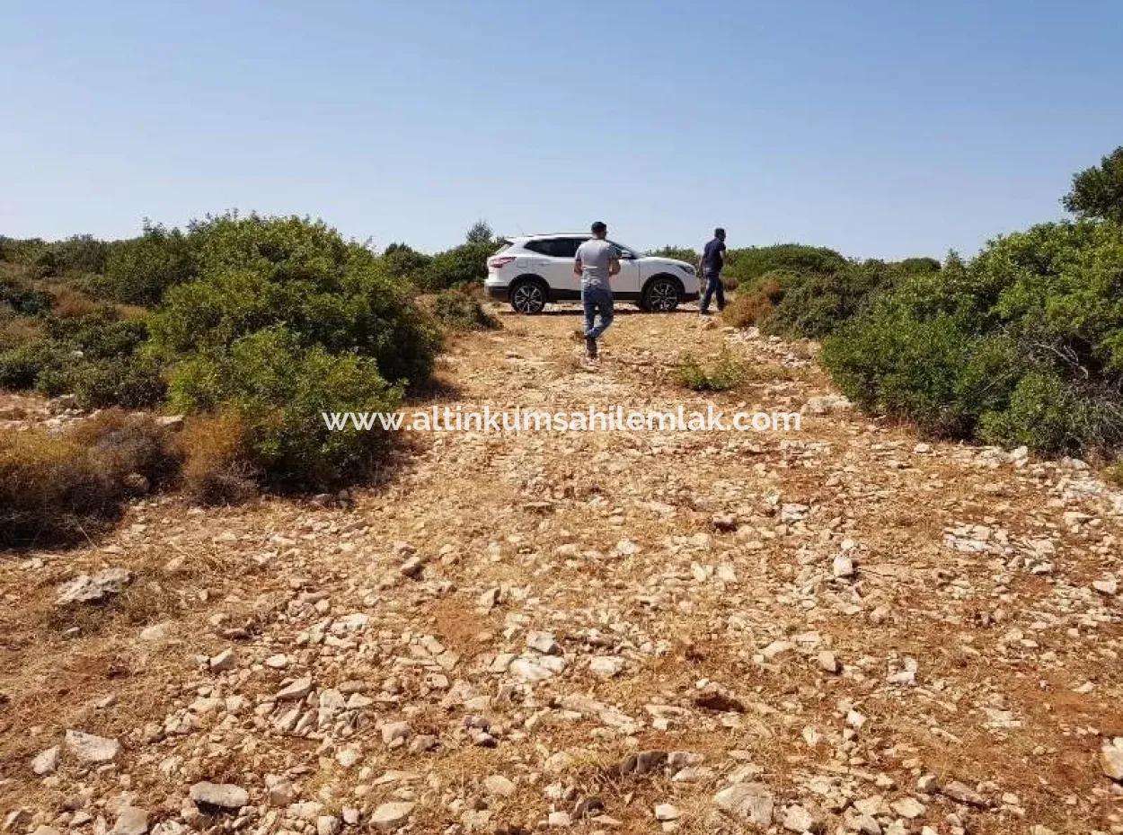 Didim Bozseki'de Satılık Göl Manzaralı Arsalar