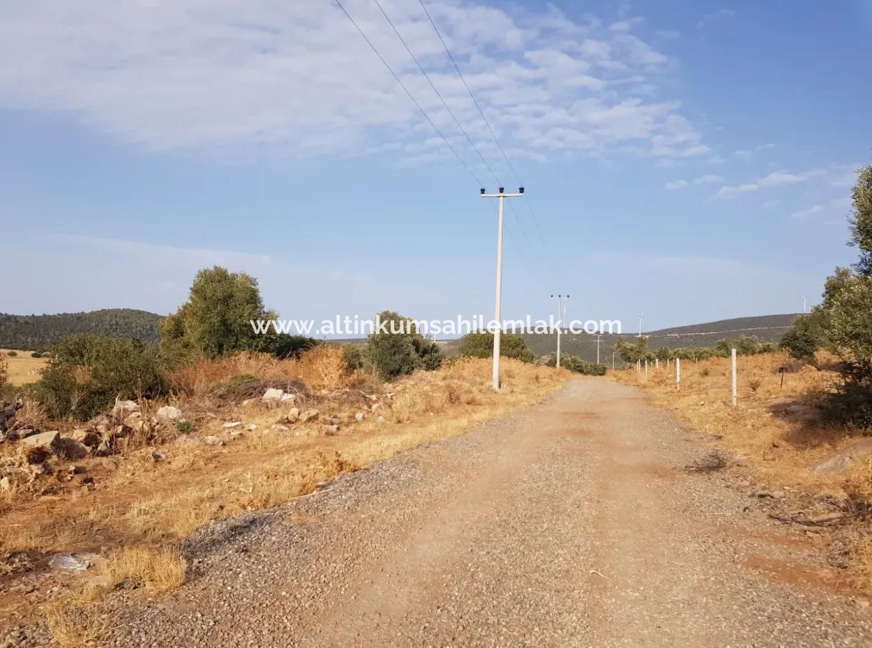 Didim Akyeniköy Zümrüttepede Satılık Arsa
