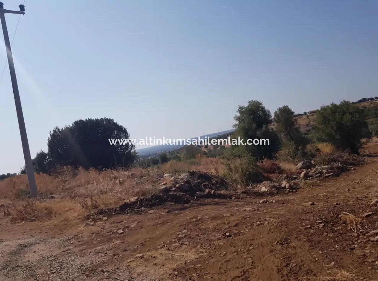 Didim Akyeniköy Zümrüttepede Satılık Arsa
