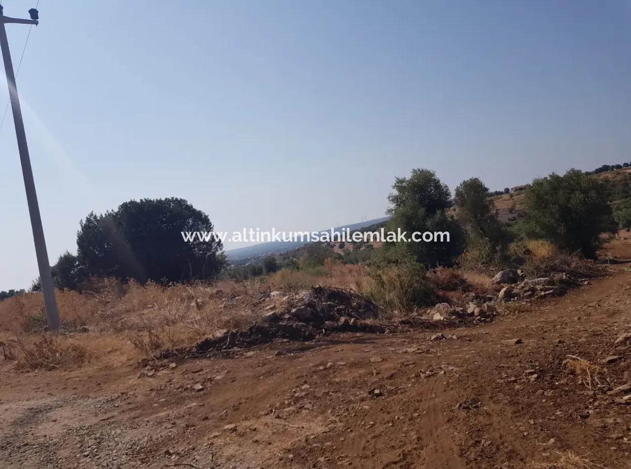 Didim Akyeniköy Zümrüttepede Satılık Arsa