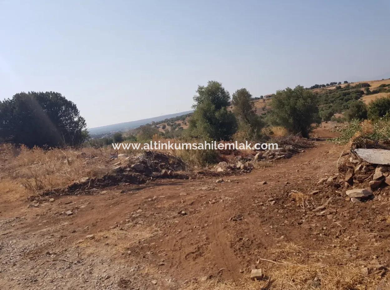 Didim Akyeniköy Zümrüttepede Satılık Arsa