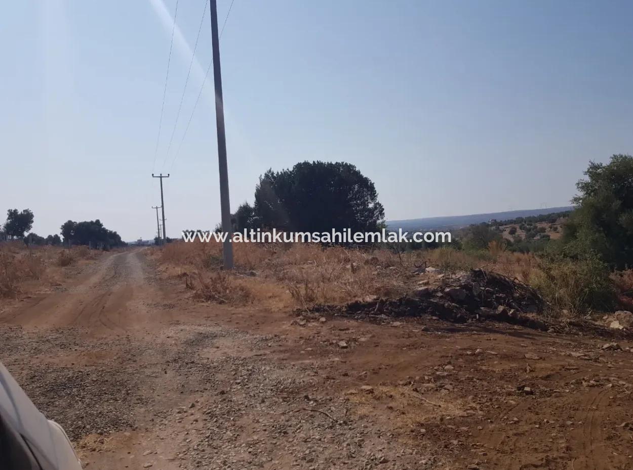 Didim Akyeniköy Zümrüttepede Satılık Arsa