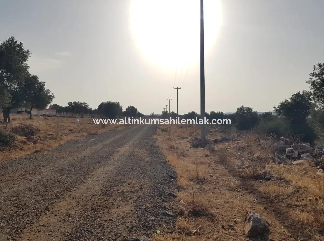 Didim Akyeniköy Zümrüttepede Satılık Arsa