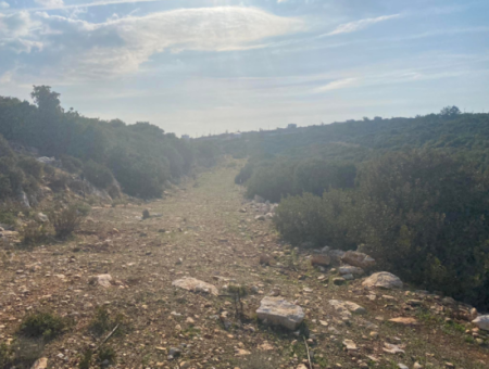 Didim Akyeniköy Bozsekide Satılık Yatırımlık Arsa