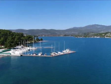 Muğla Milas Kazıklıda Satılık 12 Dönüm Deniz Manzaralı Zeytinli Tarla