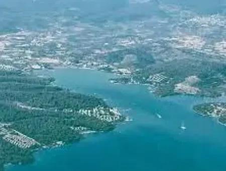 Muğla Milas Kazıklıda Satılık 12 Dönüm Deniz Manzaralı Zeytinli Tarla