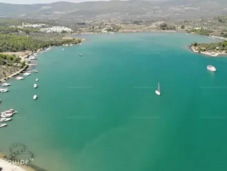 Muğla Milas Kazıklıda Satılık 12 Dönüm Deniz Manzaralı Zeytinli Tarla