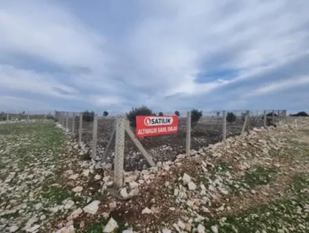 Didim Akyeniköy Bozsekide Satılık Yatırımlık Arsalar