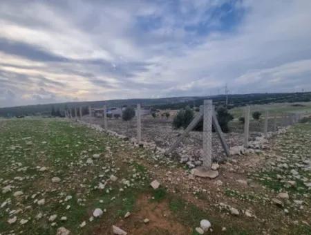 Didim Akyeniköy Bozsekide Satılık Yatırımlık Arsalar