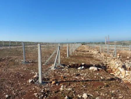 Altınkum Sahil Emlaktan Satılık Hobi Bahçeleri