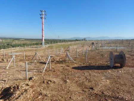 Altınkum Sahil Emlaktan Satılık Didim Yalıköyde Deniz Manzaralı Hobi Bahçeleri