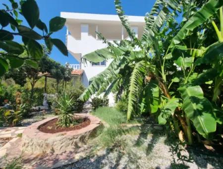 Didim Altınkum Çamlık Mahallesi Satılık 3+1 Villa