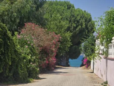 Didim Altınkumda Denize 50 M Mesafede 4+1 Müstakil Villa