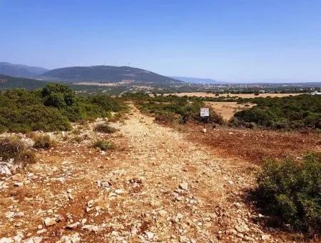 Didim Bozseki'de Satılık Göl Manzaralı Arsalar