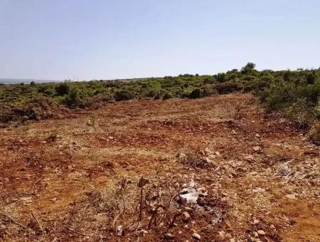 Didim Bozseki'de Satılık Göl Manzaralı Arsalar