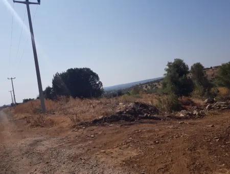 Didim Akyeniköy Zümrüttepede Satılık Arsa